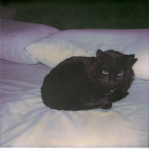 Meet your Posher, Mayanna